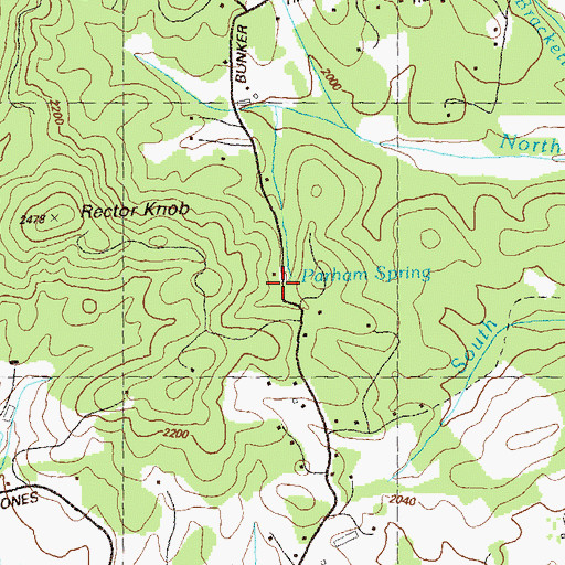 Topographic Map of Parham Spring, GA