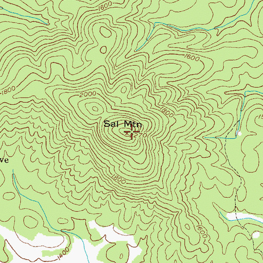 Topographic Map of Sal Mountain, GA