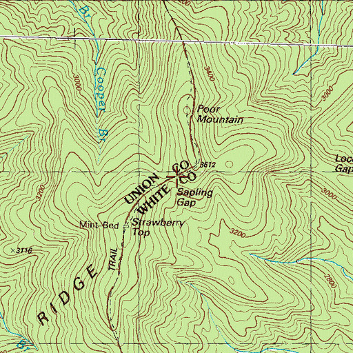 Topographic Map of Sapling Gap, GA