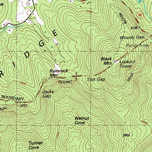 Topographic Map of Tritt Gap, GA