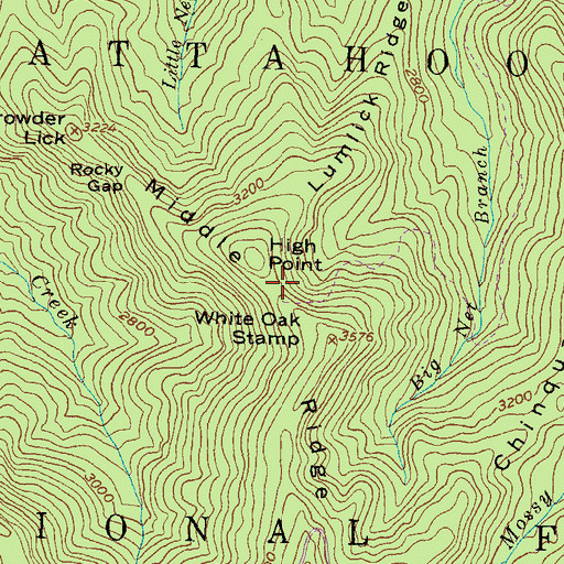 Topographic Map of White Oak Stamp, GA