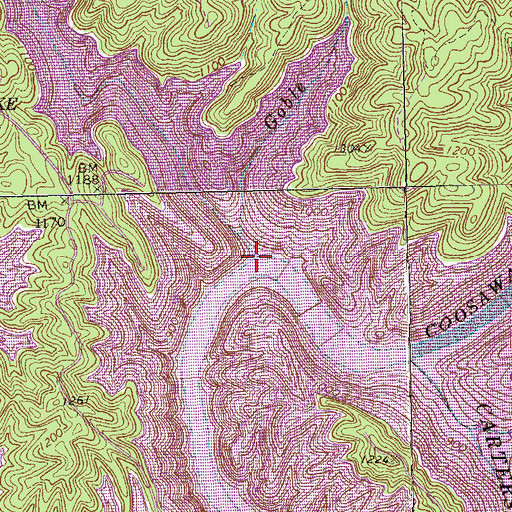 Topographic Map of Wurley Creek, GA