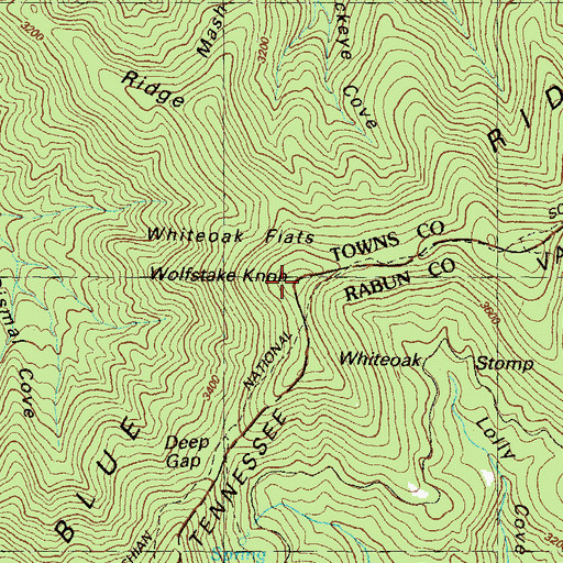 Topographic Map of Wolfstake Knob, GA