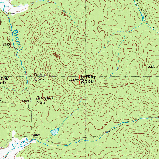 Topographic Map of Ditney Knob, GA