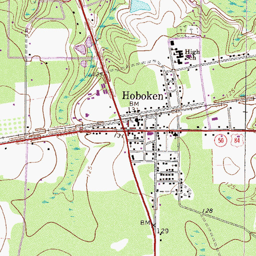 Topographic Map of Hoboken, GA