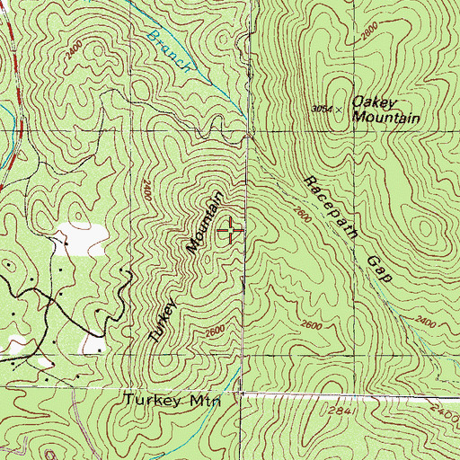 Topographic Map of Turkey Mountain, GA