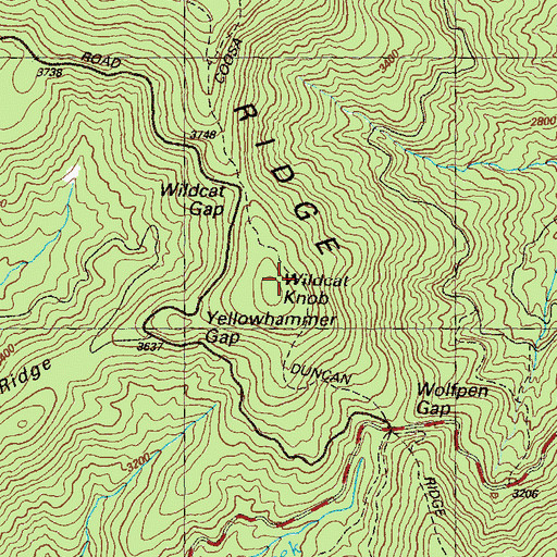 Topographic Map of Wildcat Knob, GA