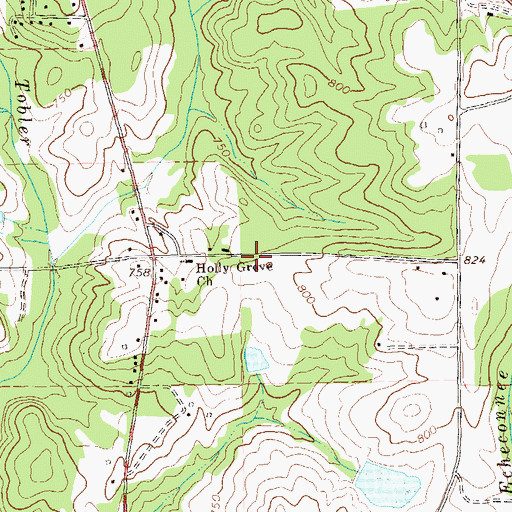 Topographic Map of Holly Grove School (historical), GA