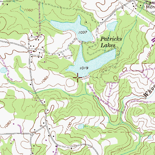 Topographic Map of South Patrick Lake Dam, GA