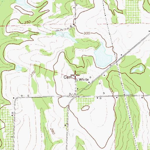 Topographic Map of White Cemetery, GA