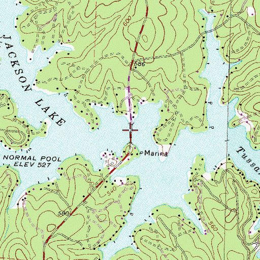 Topographic Map of Barnett Bridge, GA
