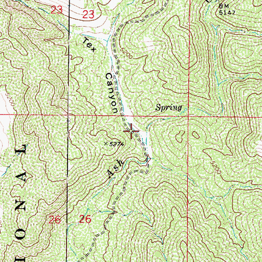 Topographic Map of Tex Canyon, AZ