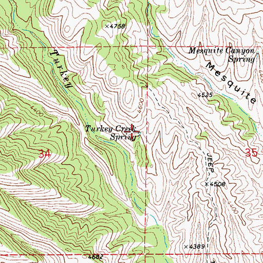 Topographic Map of Lower Turkey Creek Spring, AZ