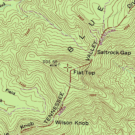 Topographic Map of Flat Top, GA