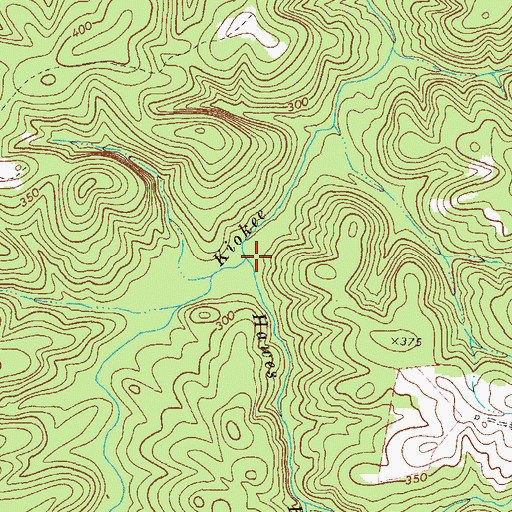 Topographic Map of Hawes Branch, GA