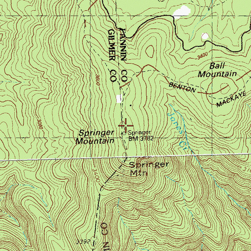 Topographic Map of Springer Mountain, GA