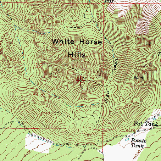 Topographic Map of White Horse Hills, AZ