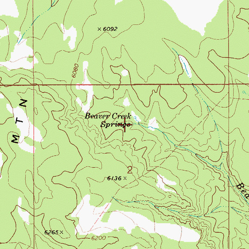 Topographic Map of Beaver Creek Springs, ID