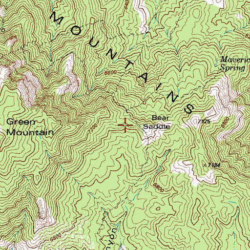 Topographic Map of Bear Saddle, AZ