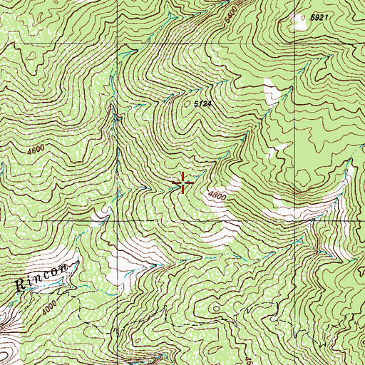 Topographic Map of Cow Head Trail Spring, AZ