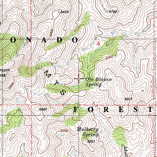 Topographic Map of Ojo Blanco Spring, AZ