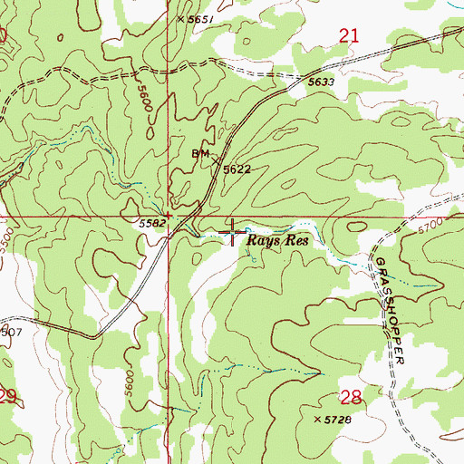 Topographic Map of Rays Reservoir, ID