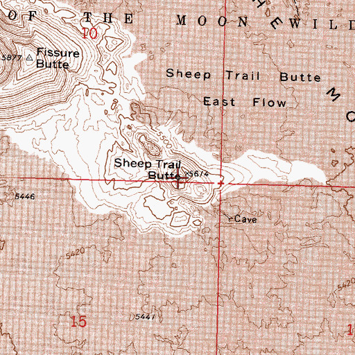 Topographic Map of Sheep Trail Butte, ID