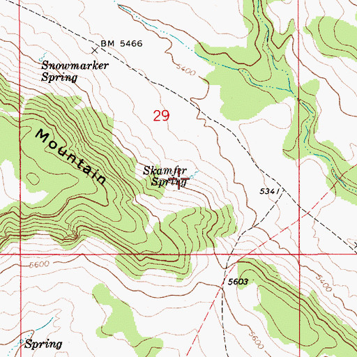 Topographic Map of Skamfer Spring, ID