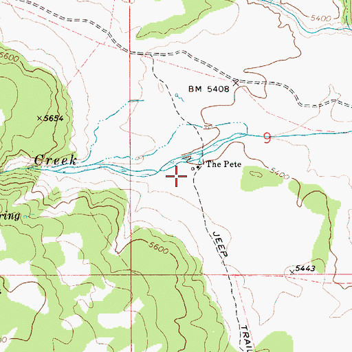 Topographic Map of The Pete, ID