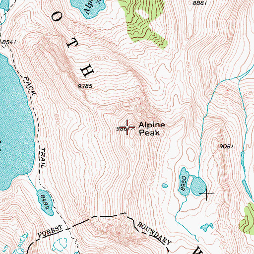 Topographic Map of Alpine Peak, ID