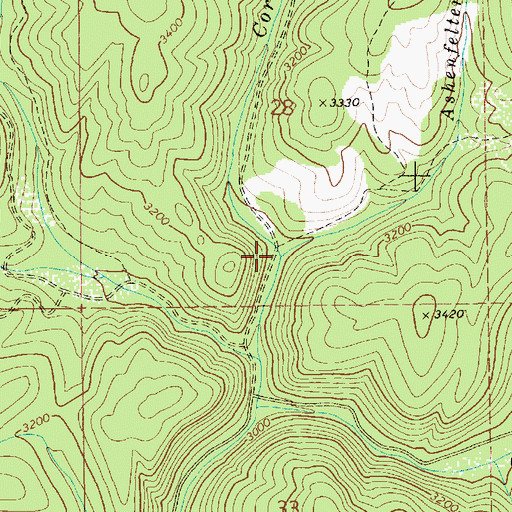 Topographic Map of Ashenfelter Creek, ID