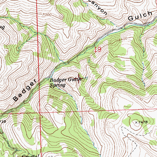 Topographic Map of Badger Gulch Spring, ID