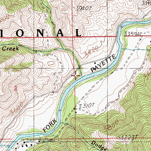 Topographic Map of Danskin Creek, ID
