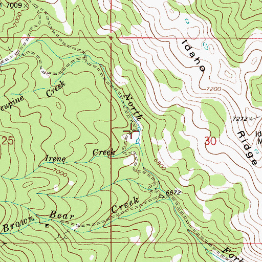 Topographic Map of Irene Creek, ID