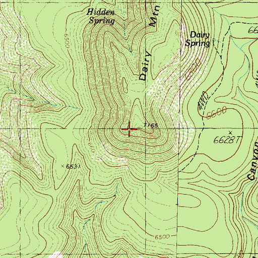 Topographic Map of Dairy Mountain, AZ