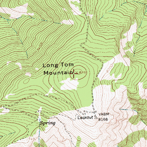 Topographic Map of Long Tom Mountain, ID
