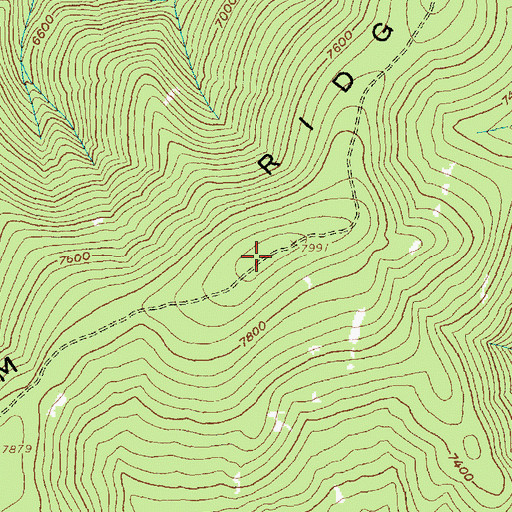 Topographic Map of Long Tom Ridge, ID