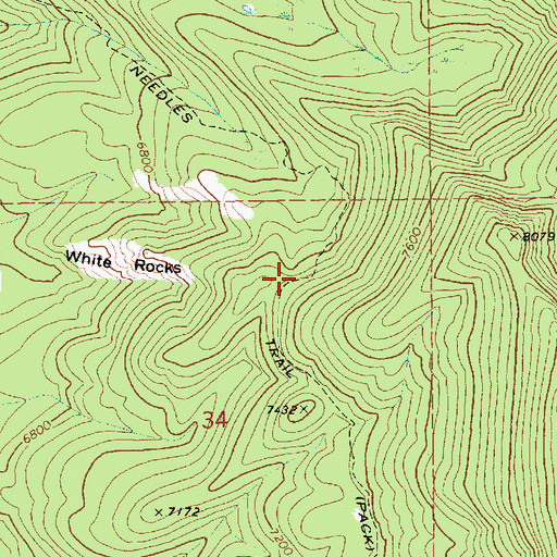 Topographic Map of Needles Trail, ID