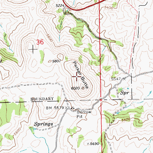 Topographic Map of Packer Butte, ID