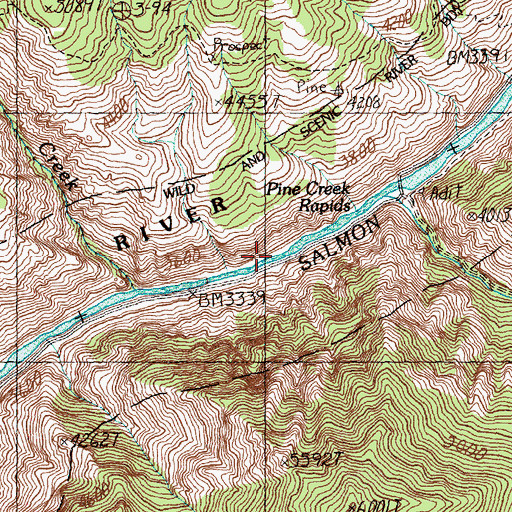 Topographic Map of Pine Creek Rapids, ID