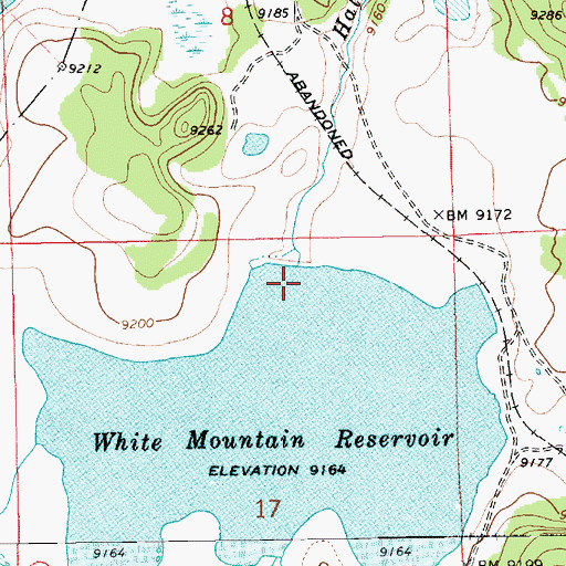 Topographic Map of White Mountain Dam, AZ