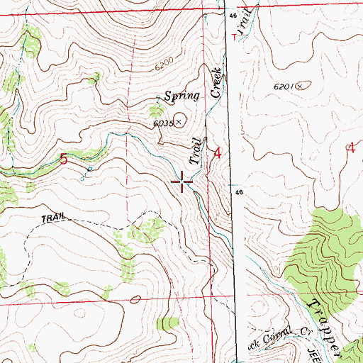 Topographic Map of Trail Creek, ID