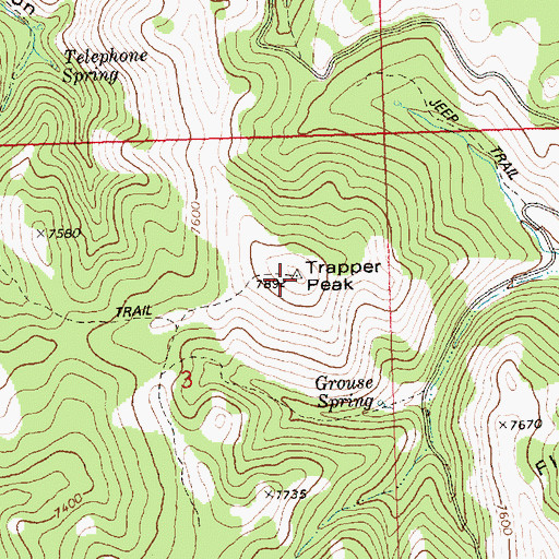 Topographic Map of Trapper Peak, ID