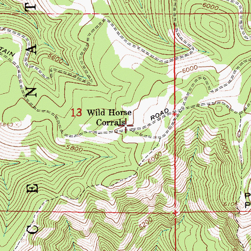 Topographic Map of Wild Horse Corrals, ID