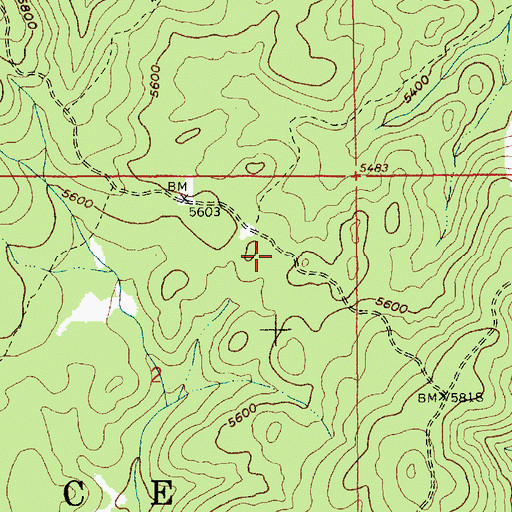Topographic Map of Cold Springs Saddle, ID