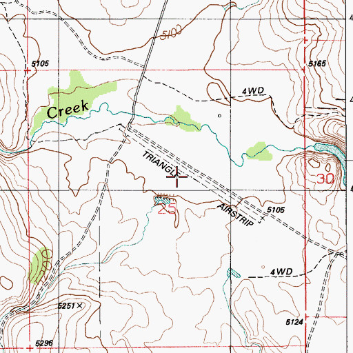 Topographic Map of Triangle Airstrip (historical), ID