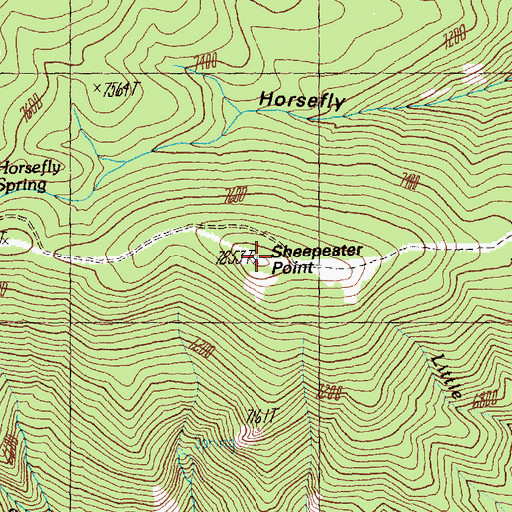 Topographic Map of Sheepeater Point, ID
