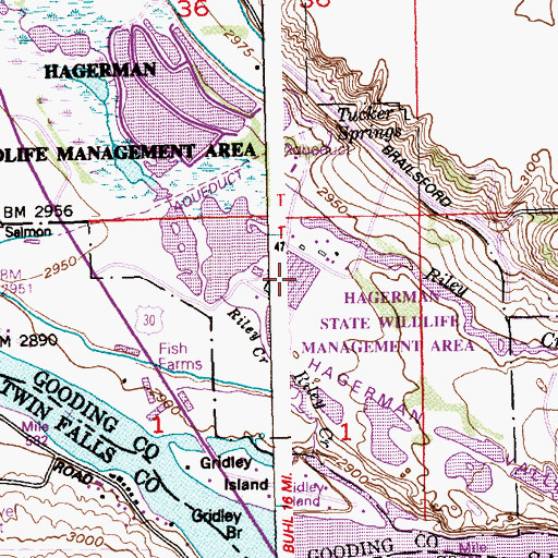 Topographic Map of Hagerman State Fish Hatchery, ID