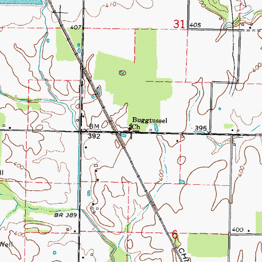 Topographic Map of Buggtussel Church, IL
