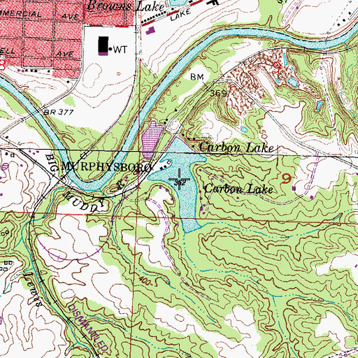 Topographic Map of Carbon Lake, IL